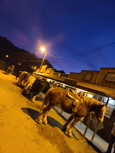 Pony ride service Mesa