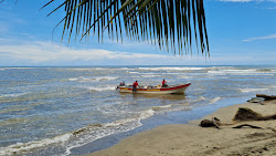 Calovebora Beach'in fotoğrafı vahşi alan