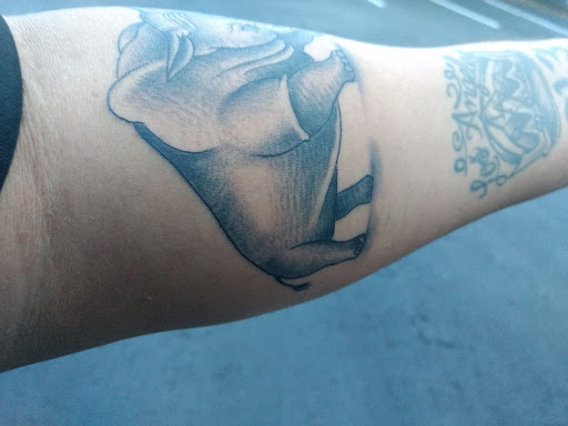 Tattoo Shop «Rock-A-Billy Tattoo & Piercing Studio», reviews and photos, 4576 N University Dr, Lauderhill, FL 33351, USA