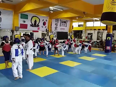 Taekwondo DSG Central Cuautla - 62748, Frente Zapatista 4, Revolucion, 62749 Cuautla, Mor., Mexico