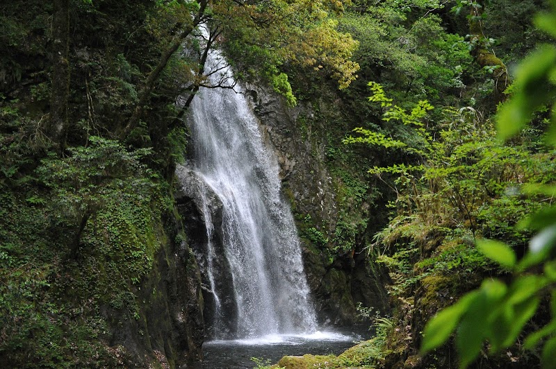大滝自然森林公園