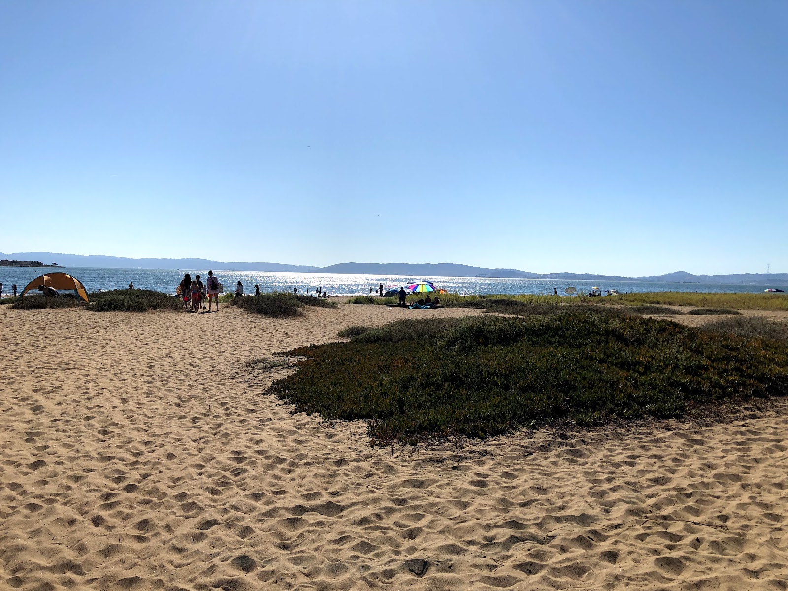 Φωτογραφία του Alameda beach με τυρκουάζ νερό επιφάνεια