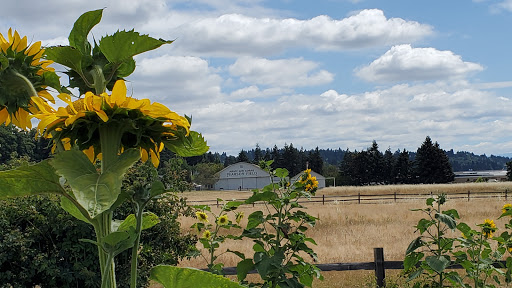 Museum «Pearson Air Museum», reviews and photos, 1115 E 5th St, Vancouver, WA 98661, USA