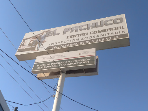 El Pachuco (CCFN Pachuco)