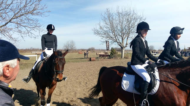 Коментари и отзиви за Horse riding club "Equestre"