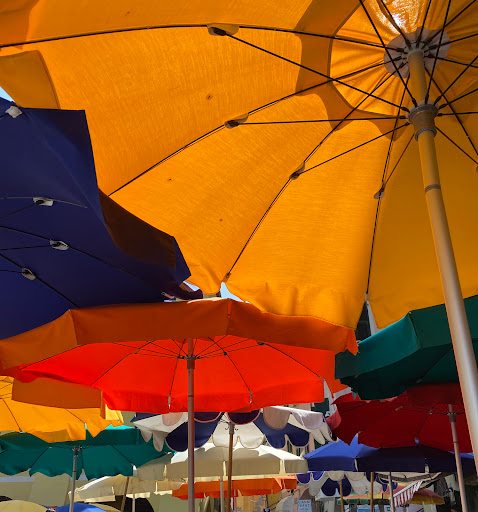 Travel Agency «Sun Travel Cruises and Tours», reviews and photos, 1111 Hawkins Blvd #4b, El Paso, TX 79925, USA