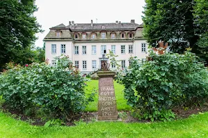 Manor Meinbrexen - cafe in the old cow shed image