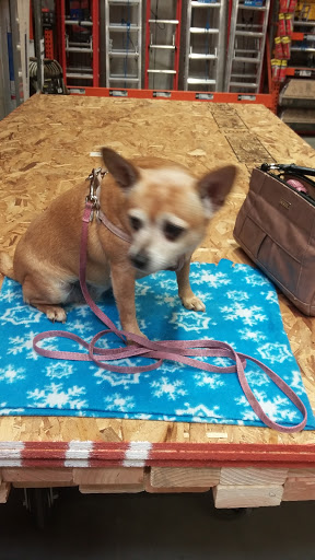 Home Improvement Store «The Home Depot», reviews and photos, 11755 Willow Creek Dr, Auburn, CA 95603, USA