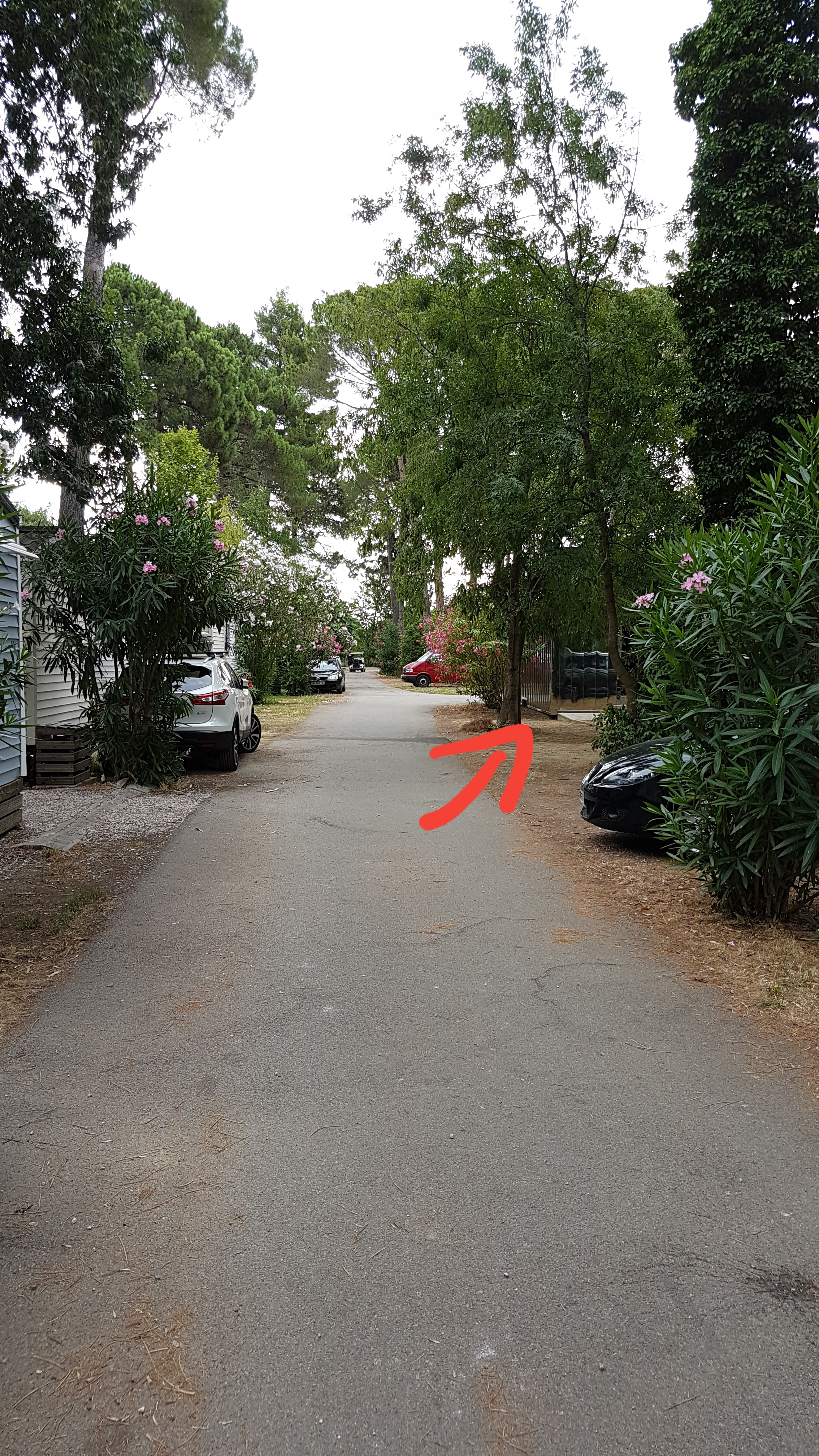 Photo n° 17 de l'avis de Aymeric.i fait le 21/07/2018 à 08:57