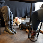 Photo n°2 de l'avis de Christine.e fait le 18/12/2022 à 12:19 sur le  Türmchen à Giessen