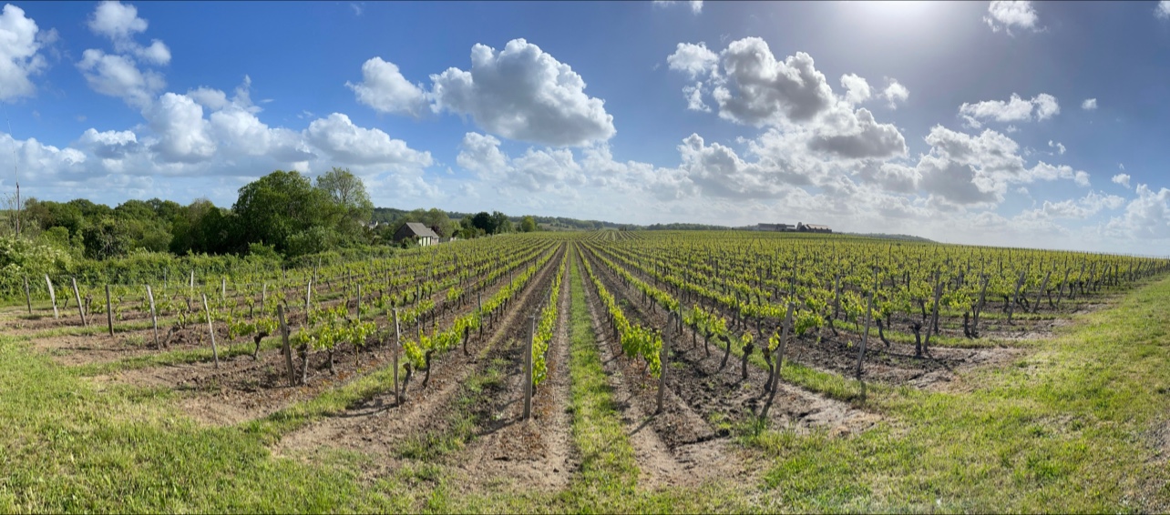 Photo n° 2 de l'avis de Laurent.e fait le 17/05/2021 à 20:33