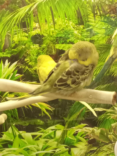 Pet Supply Store «Petco Animal Supplies», reviews and photos, 10663 Valley Blvd b, El Monte, CA 91731, USA