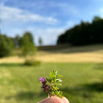 Photo n° 5 de l'avis de Christophe.a fait le 25/07/2023 à 09:26 pour Les Loges du Coinchet à La Pesse