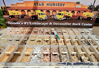 Star Nursery Christmas Tree Farm - Photo 5 - Car repair in Las Vegas, NV, Las Vegas