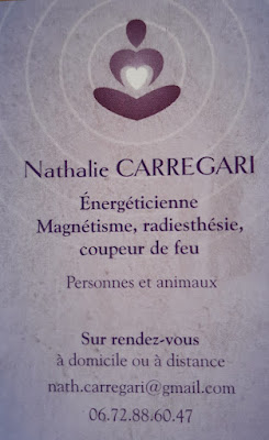 Magnétiseur. Radiesthésiste. Coupeur de feu. Energéticienne. Nathalie Carregari à Suresnes