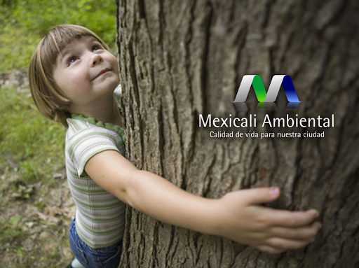 Mexicali Ambiental
