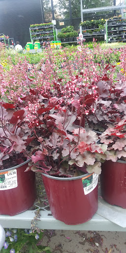 Home Improvement Store «The Home Depot», reviews and photos, 7100 North Fwy, Fort Worth, TX 76137, USA