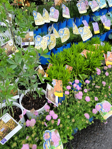 Grocery Store «Red Top Farm Market», reviews and photos, 1801 NJ-70, Southampton Township, NJ 08088, USA