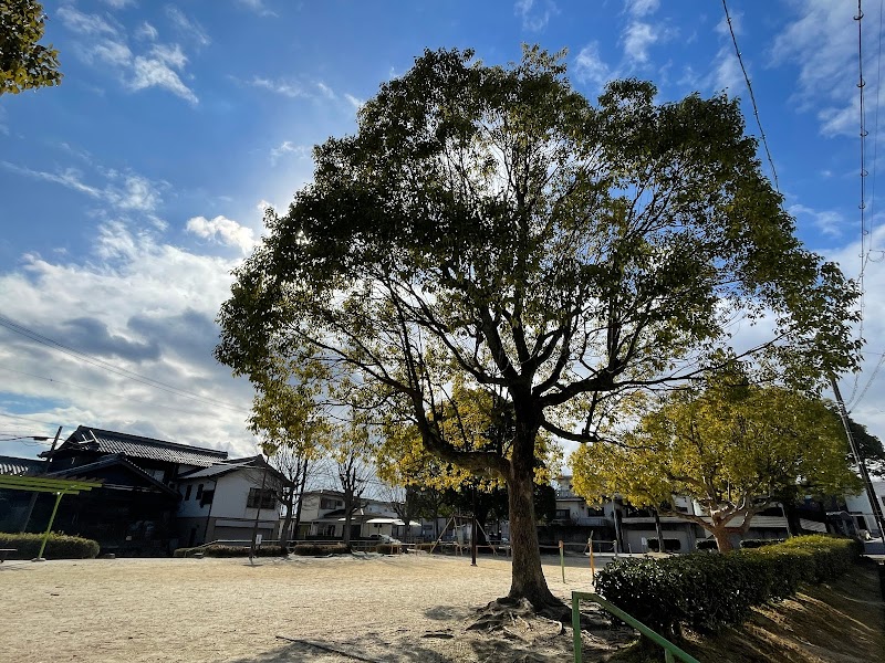 姥ケ崎公園