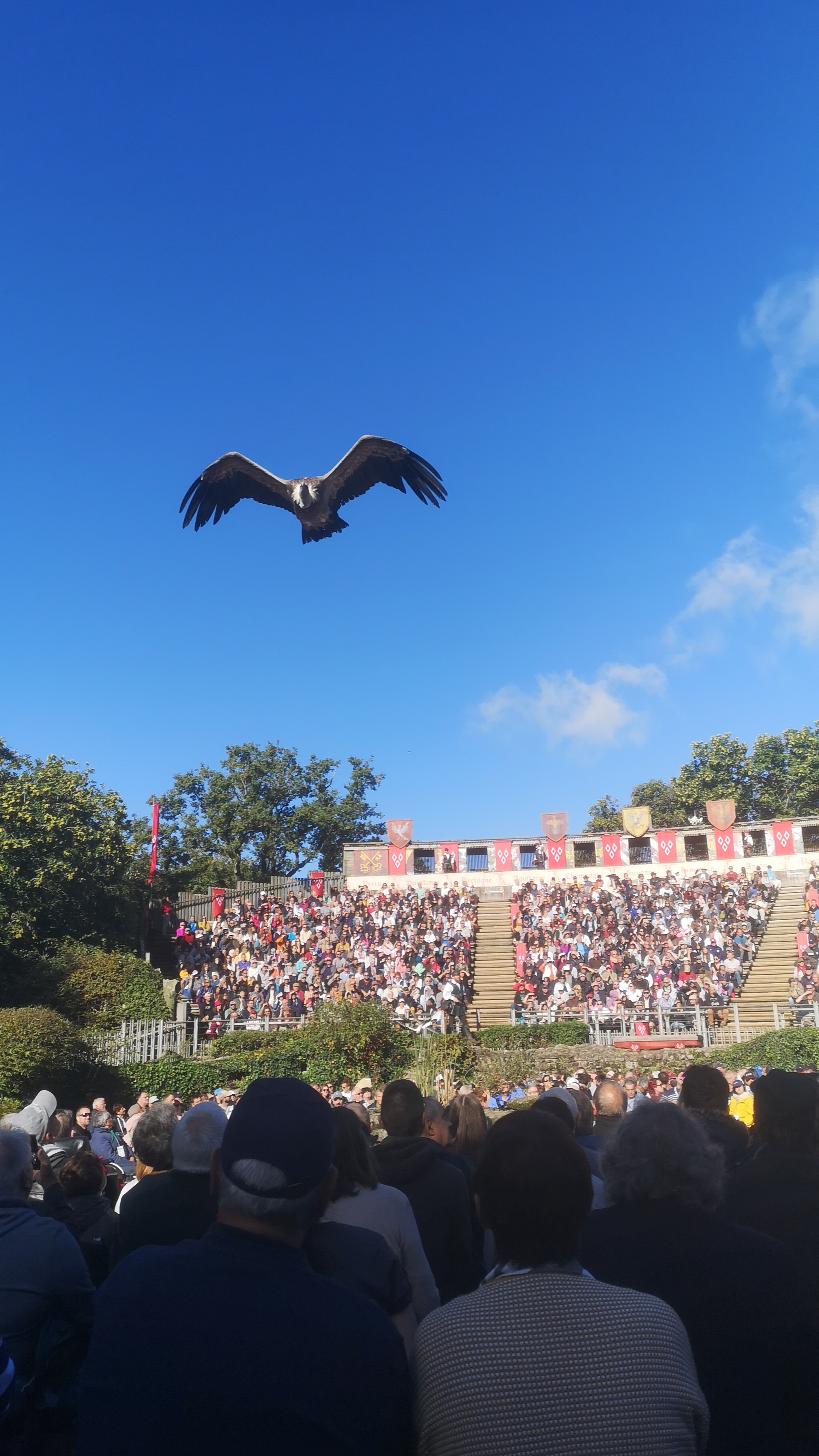 Photo n° 2 de l'avis de Lannes.o fait le 29/09/2023 à 17:46