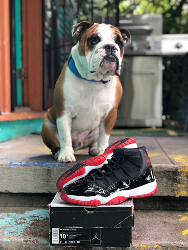 Thrift Store «Lucky Dog Clothing», reviews and photos, 8201 Greenwood Ave N, Seattle, WA 98103, USA