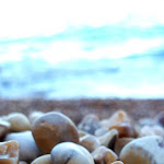 Photo n°7 de l'avis de Ida.a fait le 20/07/2023 à 08:34 sur le  Vignanotica Beach à Vieste