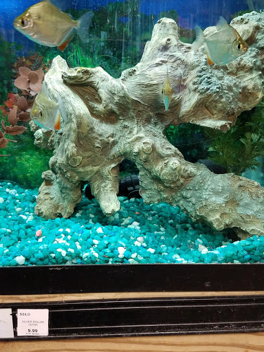 Garden Center «A W Brown Pet & Garden», reviews and photos, 144 Shaker Rd, East Longmeadow, MA 01028, USA