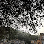 Photo n°2 de l'avis de cecilia.c fait le 29/06/2021 à 21:30 sur le  Gli Orti di San Giorgio à Modica