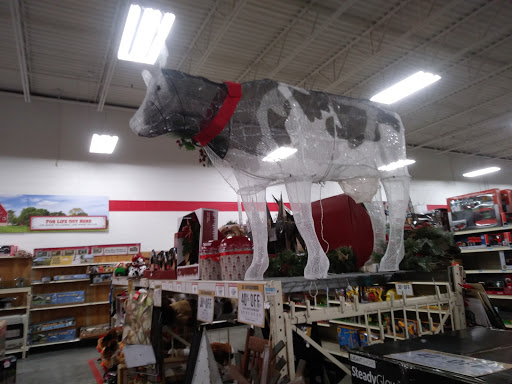 Home Improvement Store «Tractor Supply Co.», reviews and photos, 112 E N Pointe Dr, Salisbury, MD 21804, USA