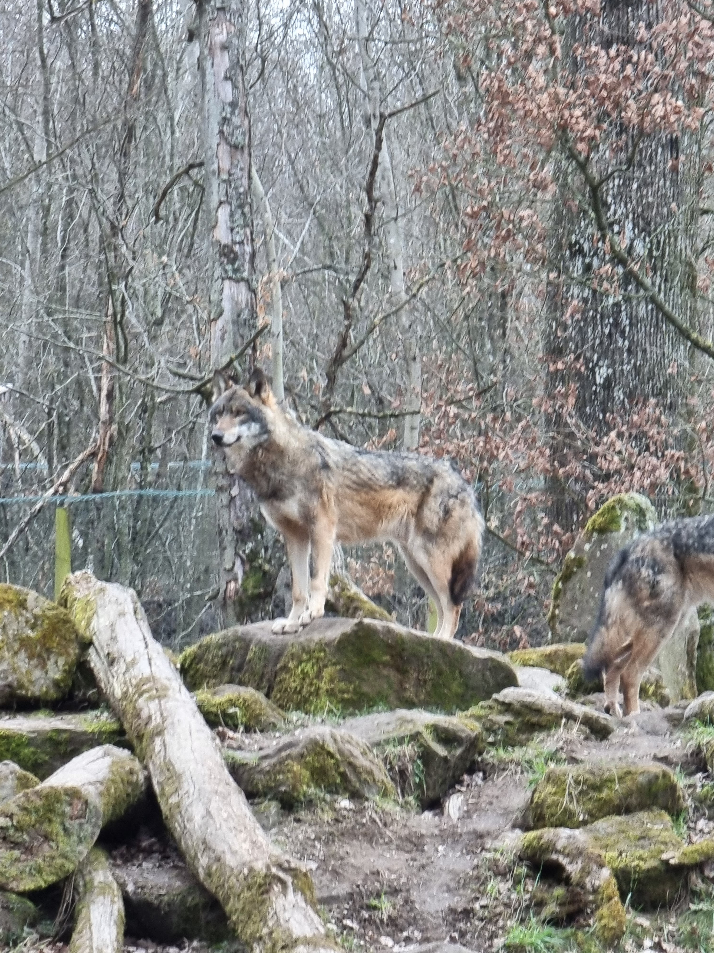 Photo n° 39 de l'avis de percque.a fait le 12/03/2023 à 16:11