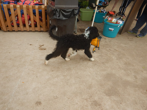 Water Park «NRH2O Family Water Park», reviews and photos, 9001 Boulevard 26, North Richland Hills, TX 76180, USA