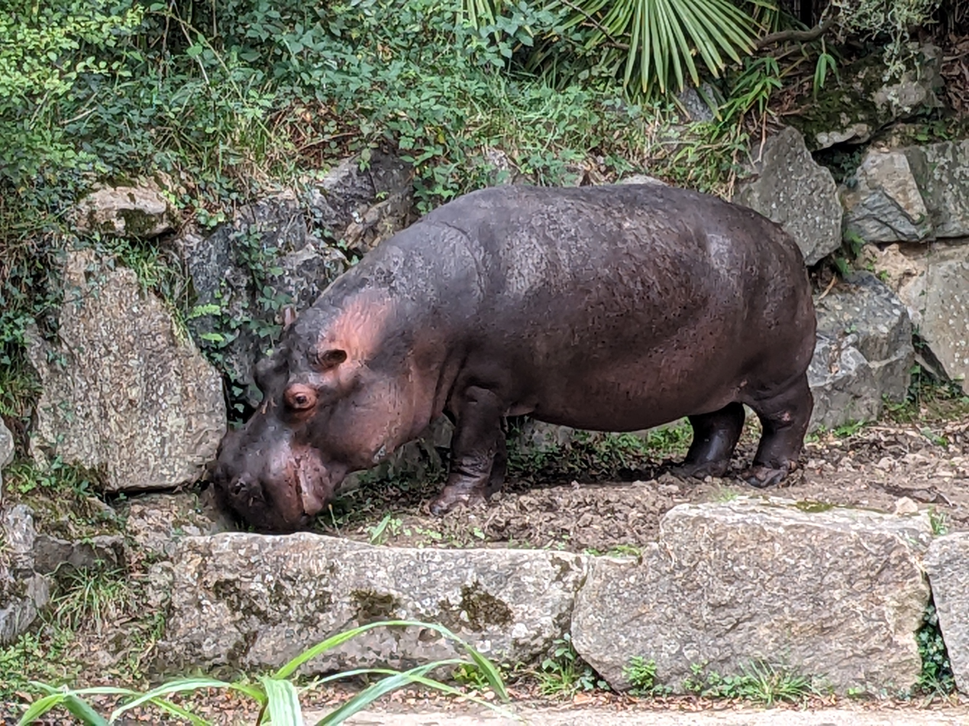 Photo n° 1 de l'avis de Ingo. fait le 01/10/2023 à 16:53