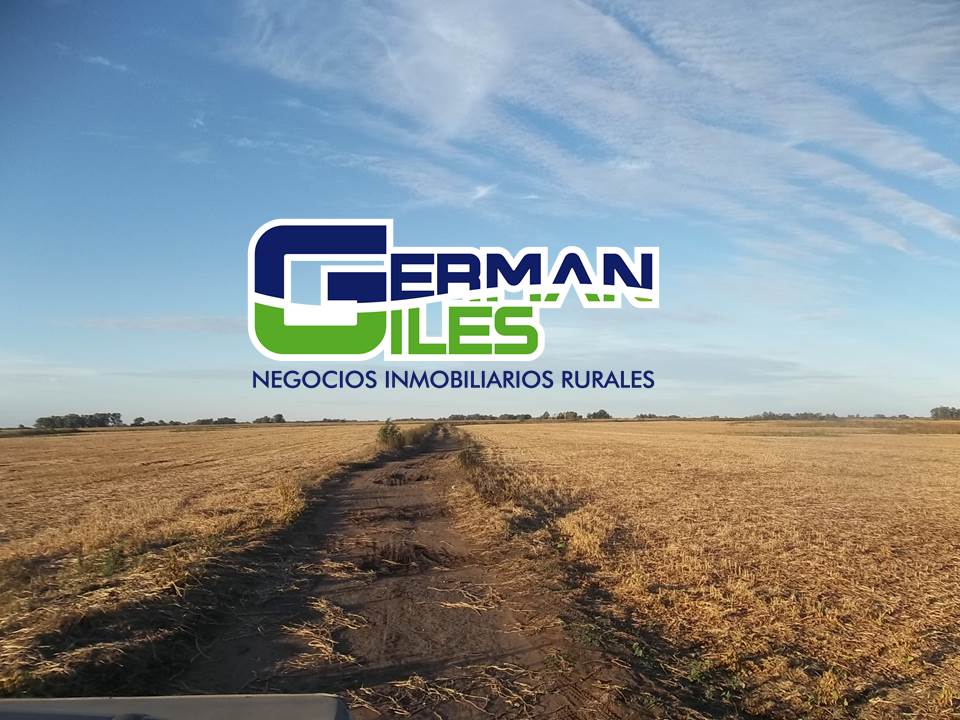 German Giles - Negocios Inmobiliarios Rurales