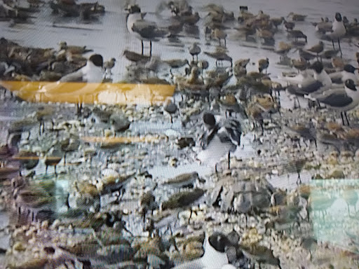 Nature Preserve «DuPont Nature Center», reviews and photos, 2992 Lighthouse Rd, Milford, DE 19963, USA