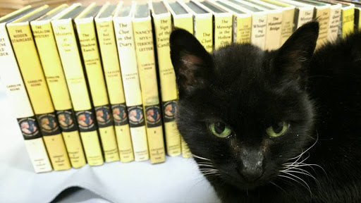 Book Store «Main Street Books Monroe LLC», reviews and photos, 110 E Main St #100, Monroe, WA 98272, USA