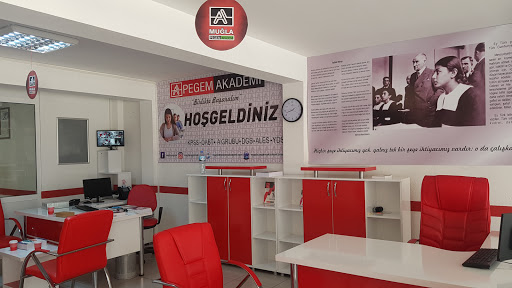 Kötekli Pegem Akademi
