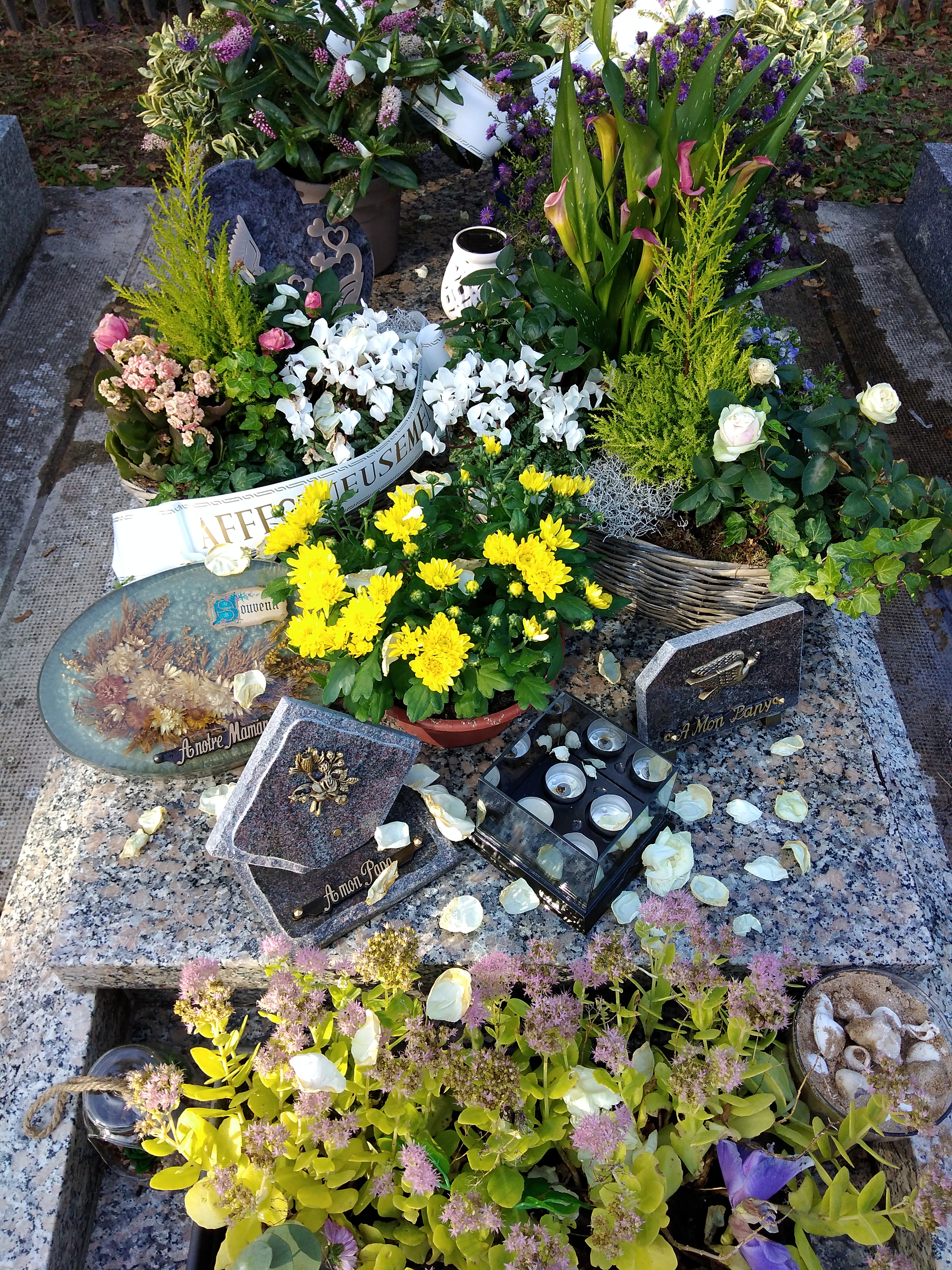 Photo n° 1 de l'avis de Cécile. fait le 12/10/2023 à 09:28