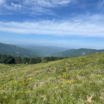 Photo n°23 de l'avis de Grazia. fait le 12/06/2022 à 18:11 sur le  Albergo Capanne di Cosola à Cabella Ligure