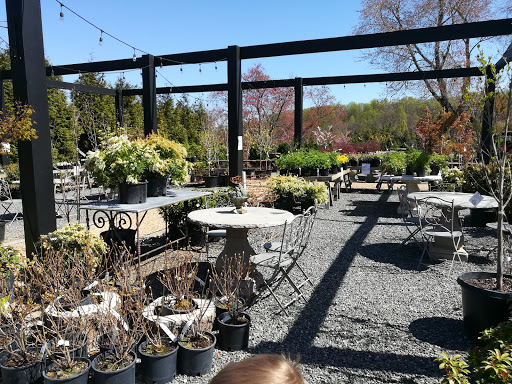 Garden Center «The Market at Grelen», reviews and photos, 15091 Yager Rd, Somerset, VA 22972, USA