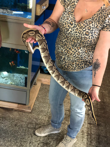 Pet Store «Fish City Pets», reviews and photos, 196 2nd St NW, Barberton, OH 44203, USA