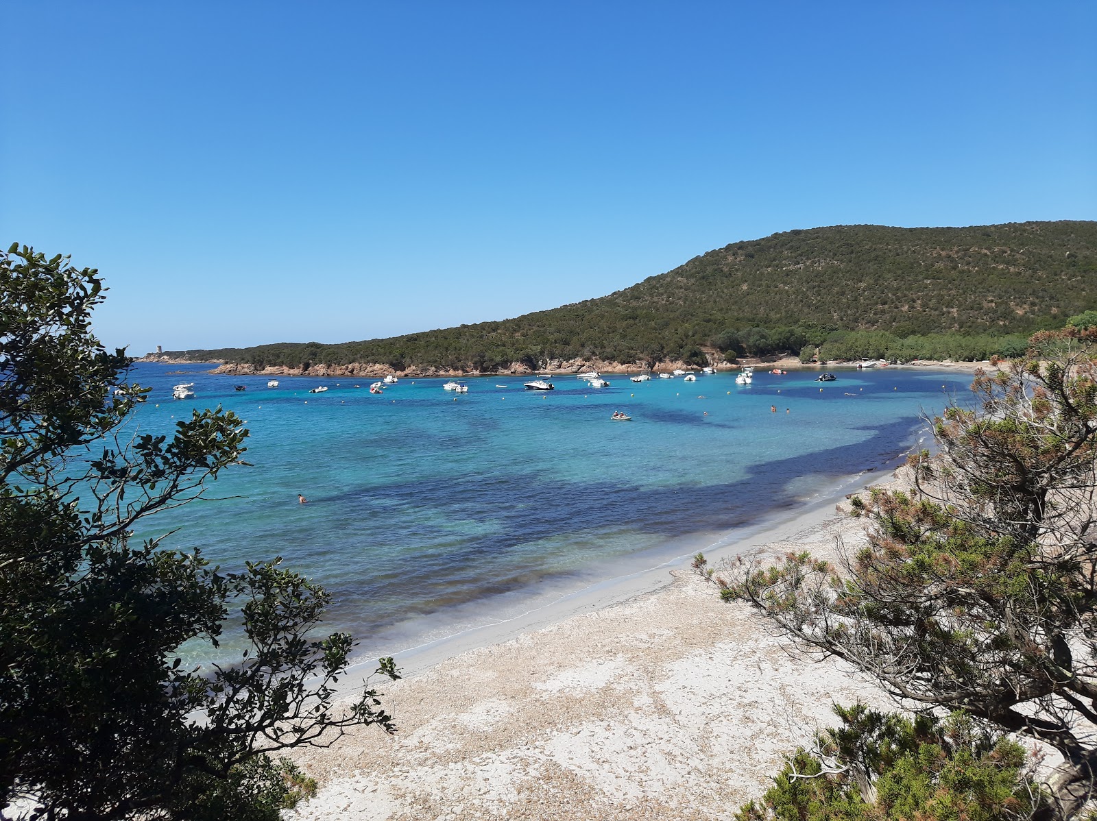 Photo de Plage de Furnellu zone sauvage