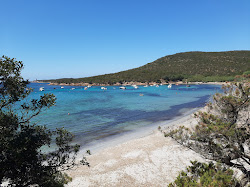 Photo de Plage de Furnellu zone sauvage