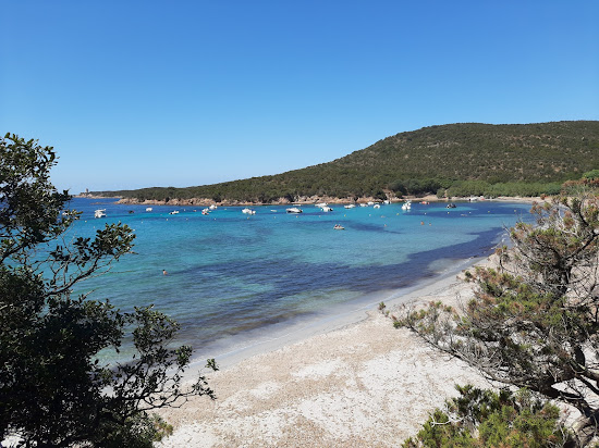 Plage de Furnellu