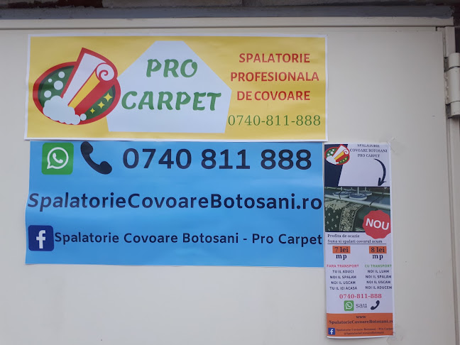 Spalatorie Covoare Botosani - Pro Carpet - <nil>