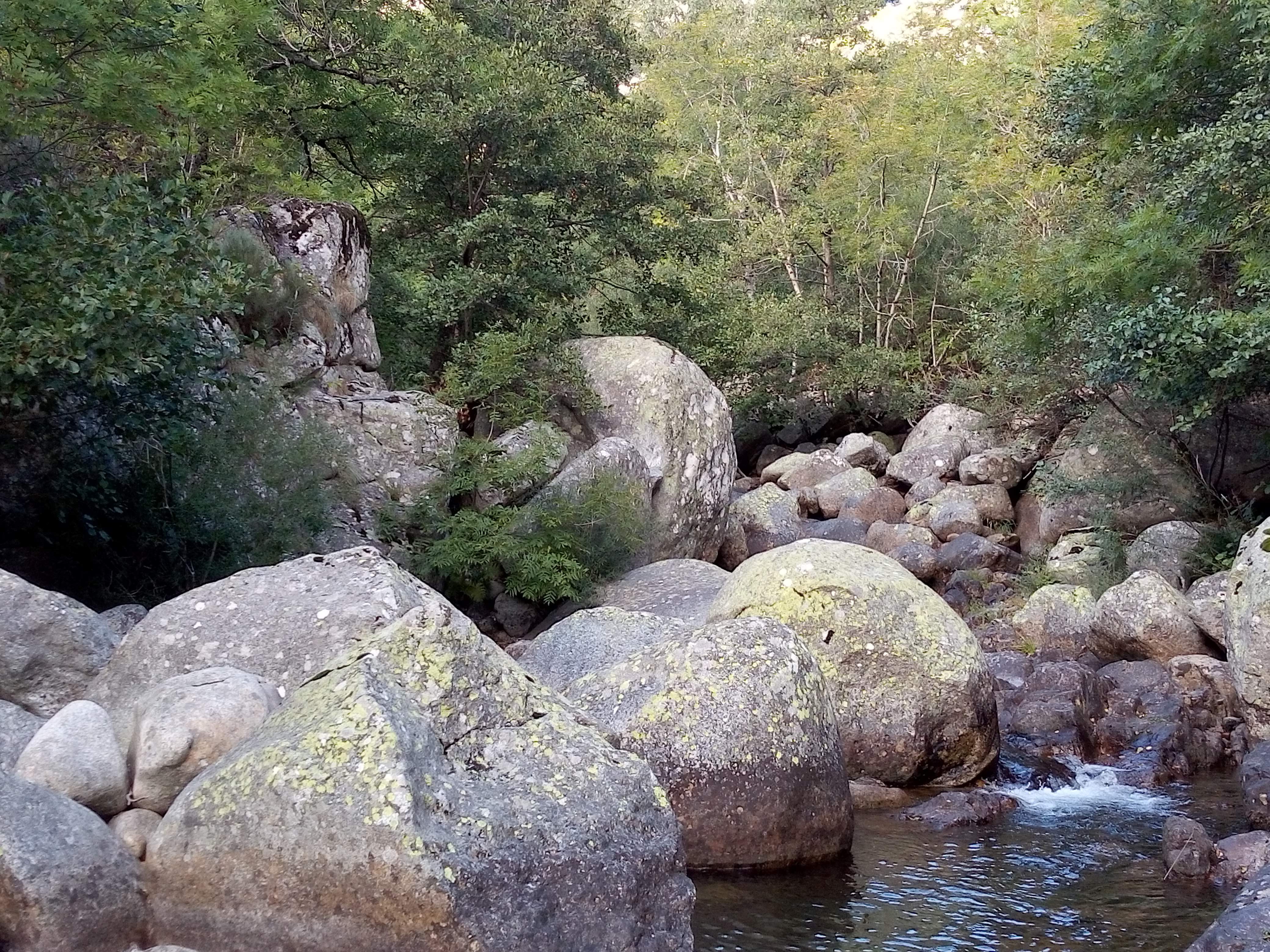 Photo n° 2 de l'avis de Mac.A fait le 27/09/2019 à 15:18