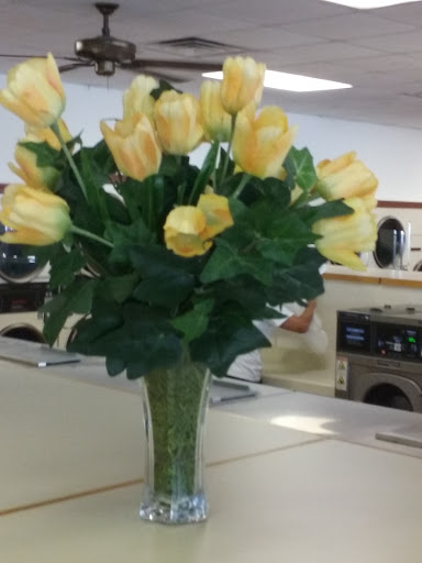 Laundromat «Gloucester U-Do-It Laundry», reviews and photos, 6784 Main St, Gloucester Courthouse, VA 23061, USA