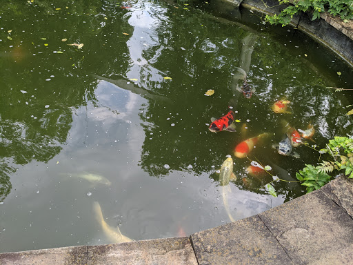 Pond Supply Store «Waterford Gardens», reviews and photos, 74 E Allendale Rd, Saddle River, NJ 07458, USA