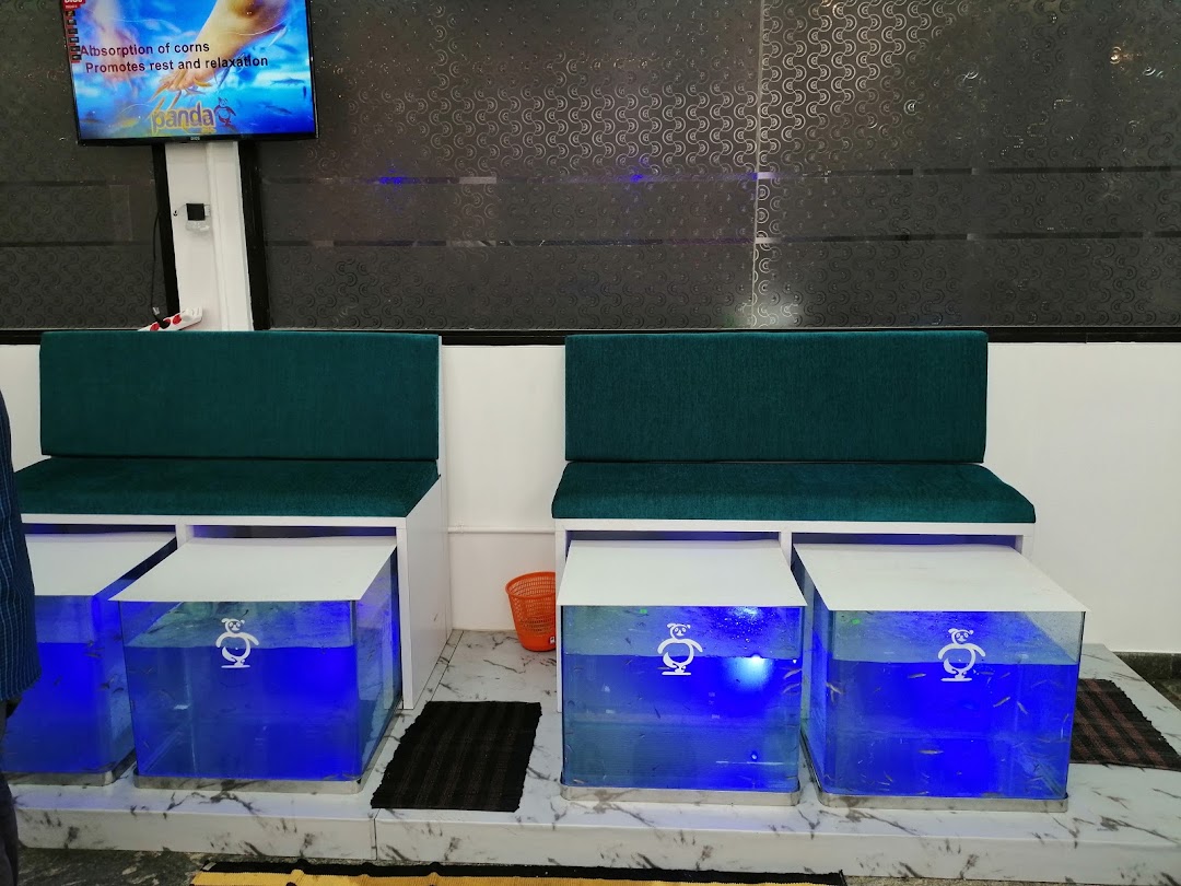 PANDA Fish Spa