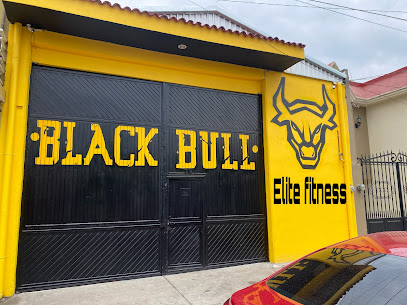 BLACK BULL ELITE FITNESS - Calle E. Zapata 318, Amp Revolución, 60153 Uruapan, Mich., Mexico