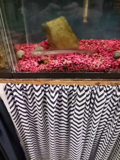 Pet Store «Scottsburg Pet Center», reviews and photos, 22 W McClain Ave, Scottsburg, IN 47170, USA